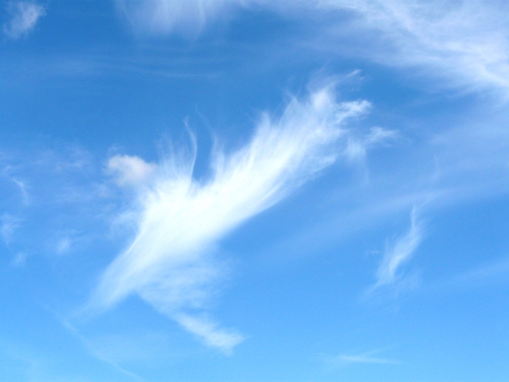 Cirrus-Wolken (1)